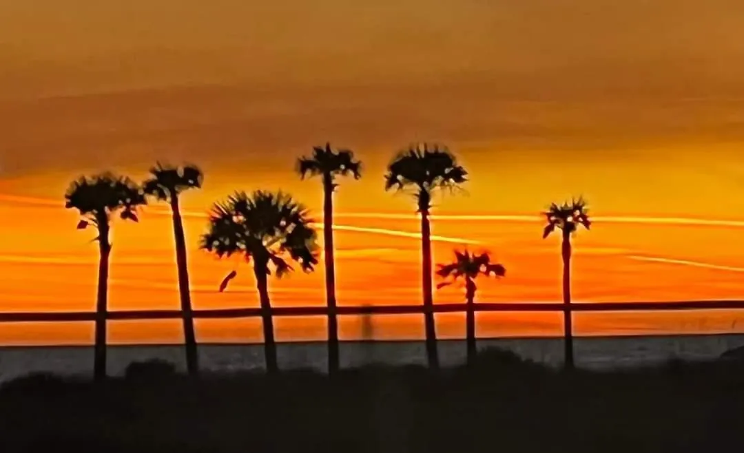 Shores Of Panama 1017 - 1 Bedroom Bunkroom Sleeps 6, Free Fun! Condo Panama City Beach Apartment